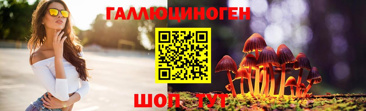 Псилоцибиновые грибы GOLDEN TEACHER Рузаевка